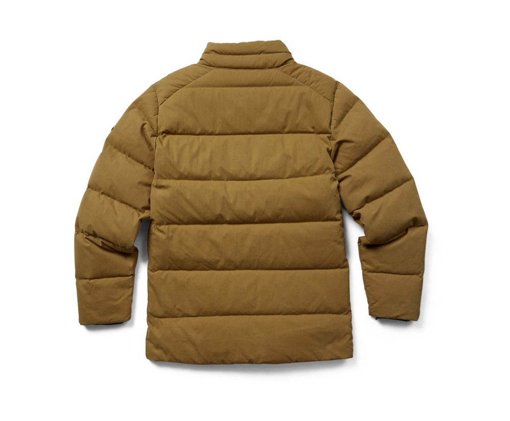 Jaqueta Homem - Merrell Terrain Cotton Parka - Caqui - EYC365180